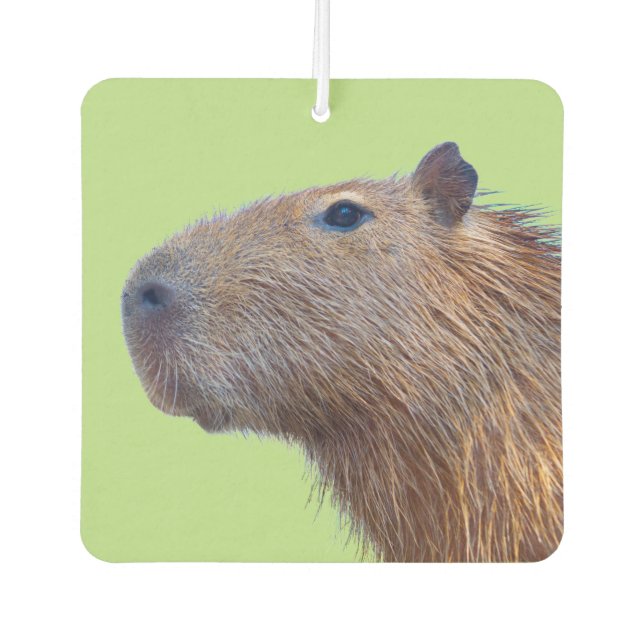 Capybara Autolufterfrischer 