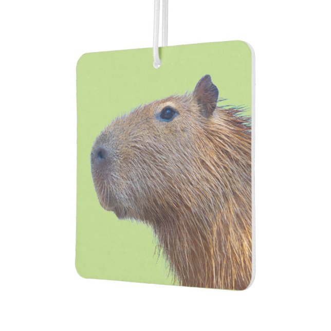 Capybara Autolufterfrischer