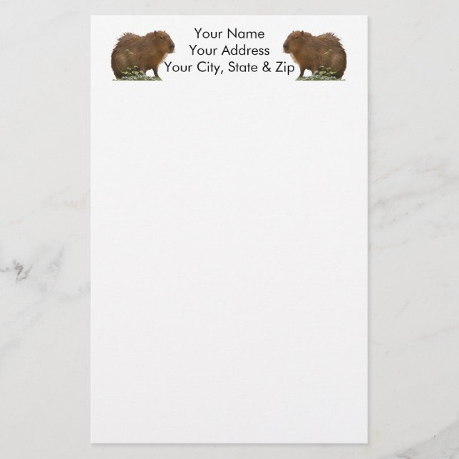 Capybara Briefpapier (Vorderseite)