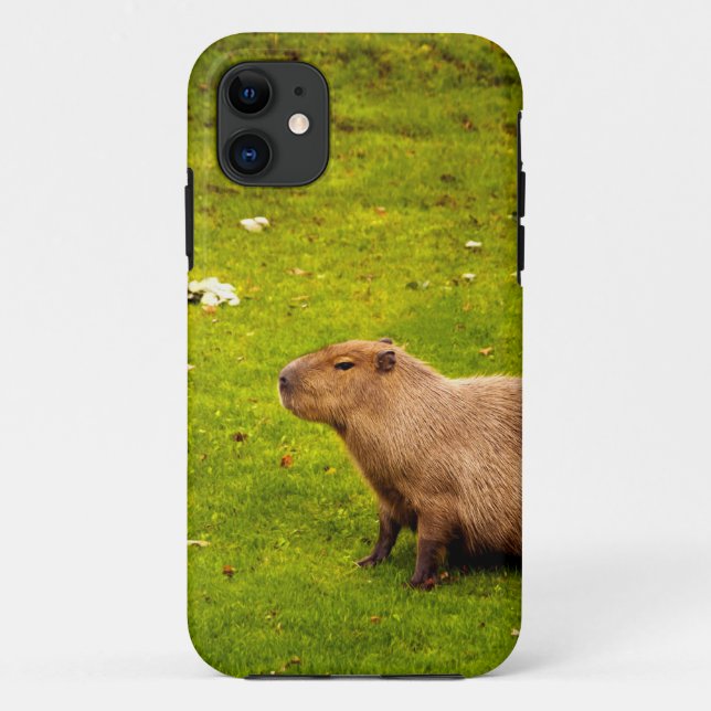 Capybara Case-Mate iPhone Hülle (Rückseite)