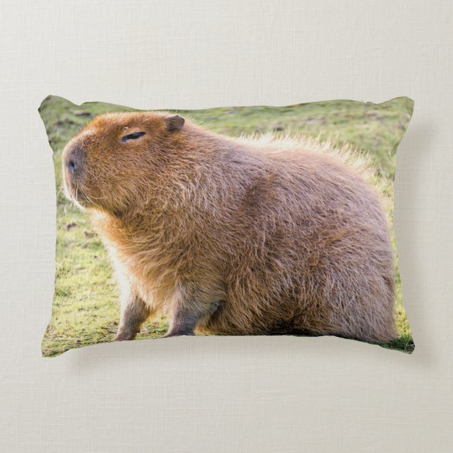 Capybara Cushion Dekokissen (Vorderseite)
