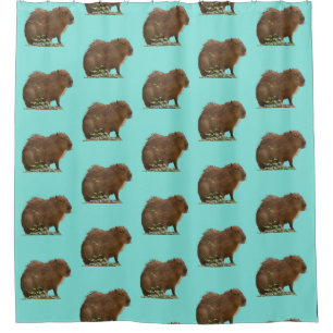 Capybara Duschvorhang