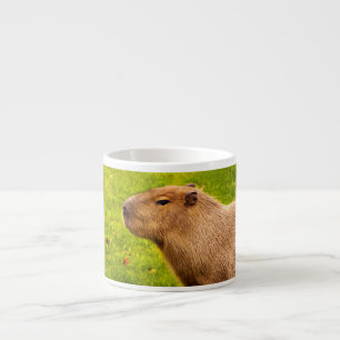 Capybara Espressotasse