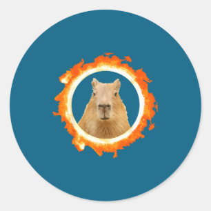 Capybara-Finsternis-Meme-Solar-Tier Runder Aufkleber