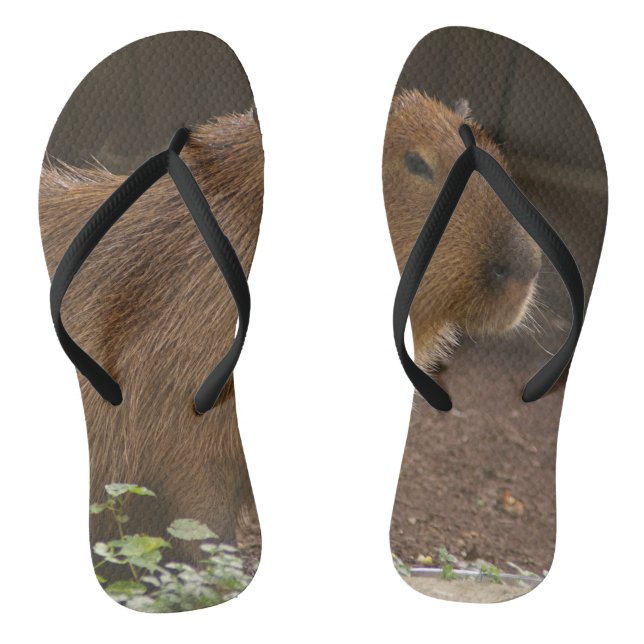 Capybara Flip Flops (Fußbett)