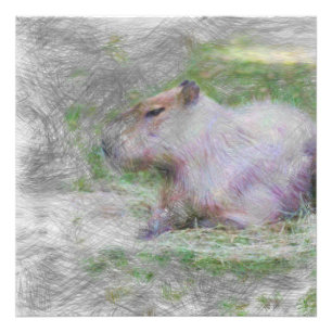 Capybara Fotodruck