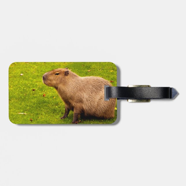 Capybara Gepäckanhänger (Rückseite horizontal)