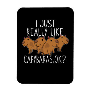 Capybara Geschenk Kinder Frauen Niedlich Capybara Magnet