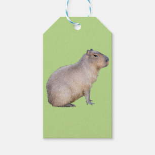 Capybara Geschenkanhänger