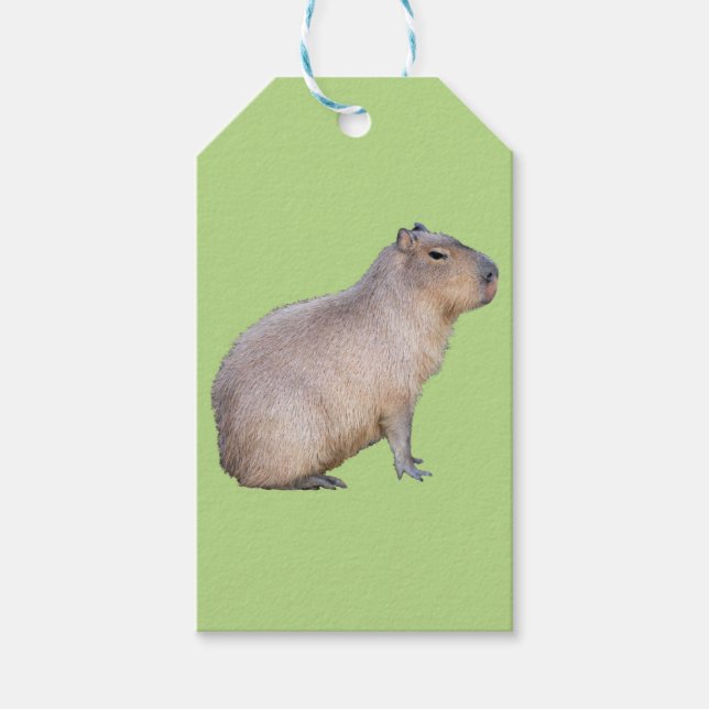Capybara Geschenkanhänger (Vorderseite)