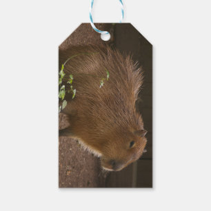 Capybara Geschenkanhänger