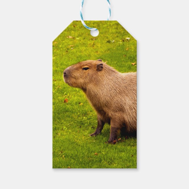 Capybara Geschenkanhänger (Vorderseite)