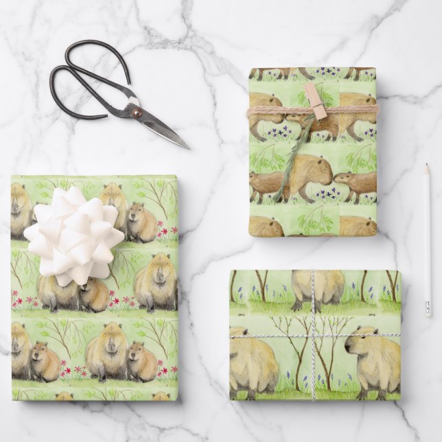 Capybara Geschenkpapier Set (Vorderseite)