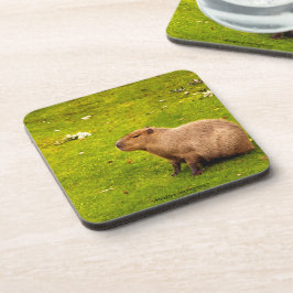 Capybara Getränkeuntersetzer