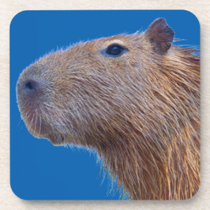 Capybara Getränkeuntersetzer