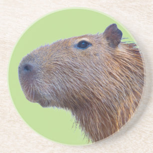 Capybara Getränkeuntersetzer