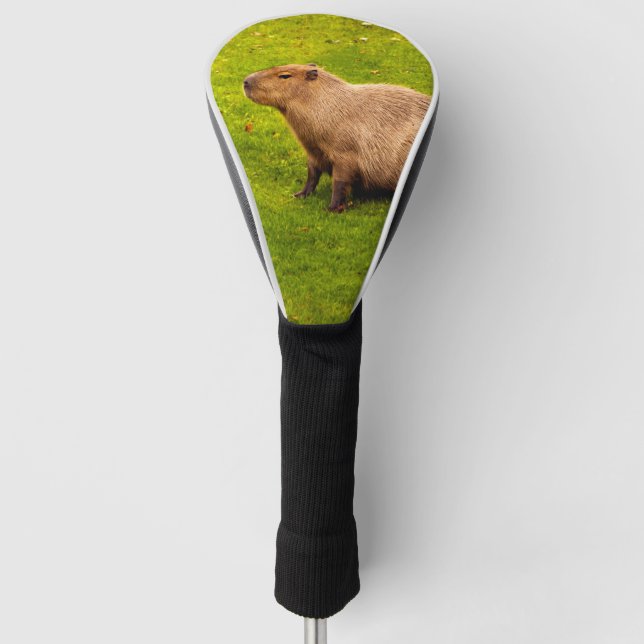 Capybara Golf Headcover (Vorderseite)