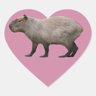Capybara Herz-Aufkleber