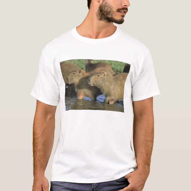 Capybara, Hydrochaeris hydrochaeris), weltweit T-Shirt (Vorderseite)