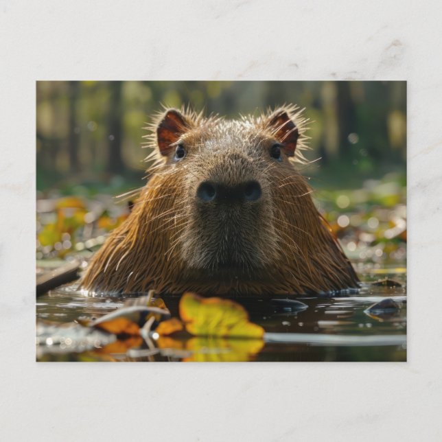 Capybara im Herbst Postkarte (Vorderseite)