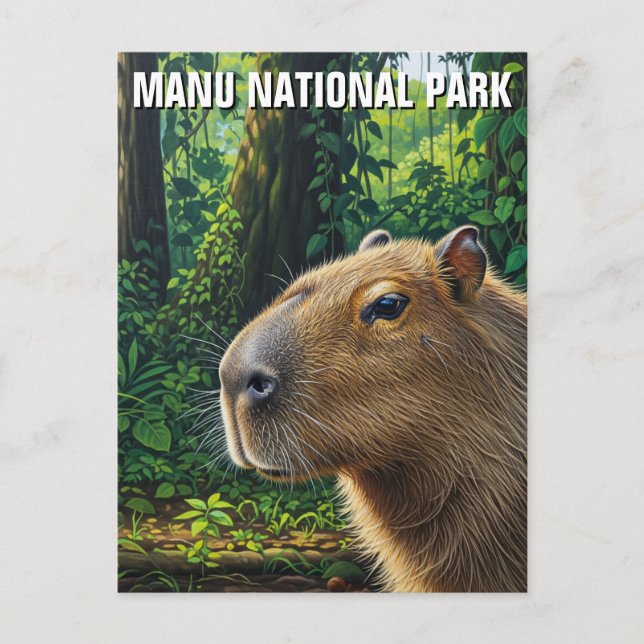 Capybara im Manu-Nationalpark Peru Postkarte (Vorderseite)