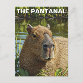 Capybara im Pantanal Postkarte