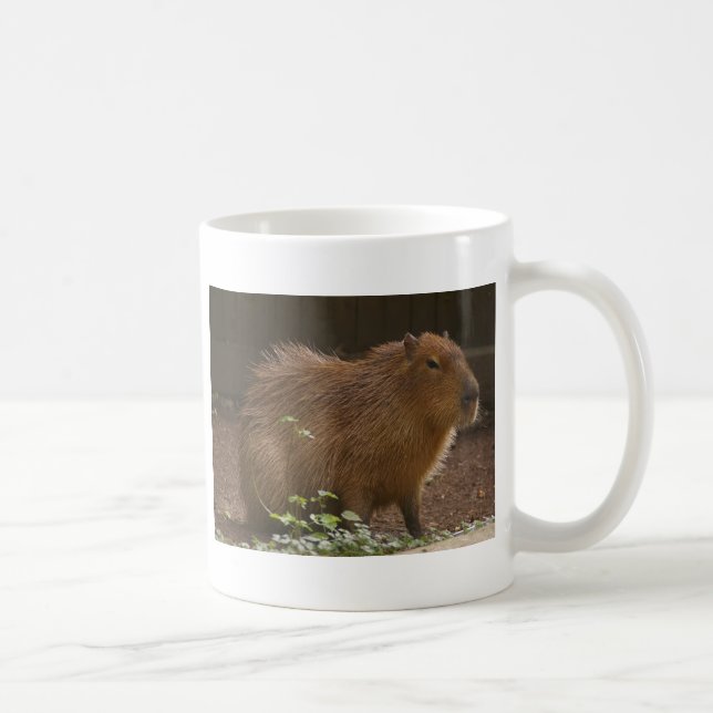 Capybara Kaffeetasse (Rechts)