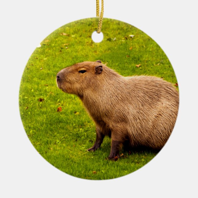 Capybara Keramik Ornament (Vorne)