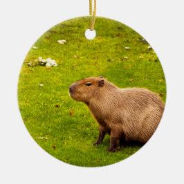 Capybara Keramikornament