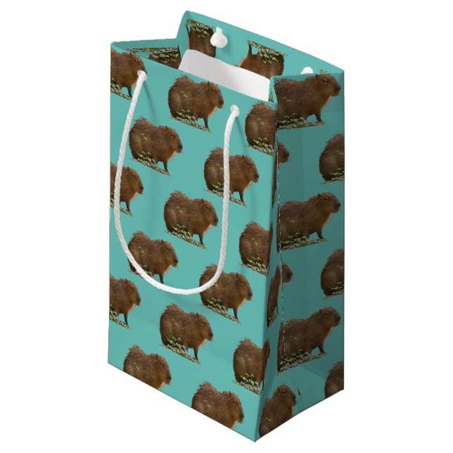 Capybara Kleine Geschenktüte (Vorderseite Schrägansicht)