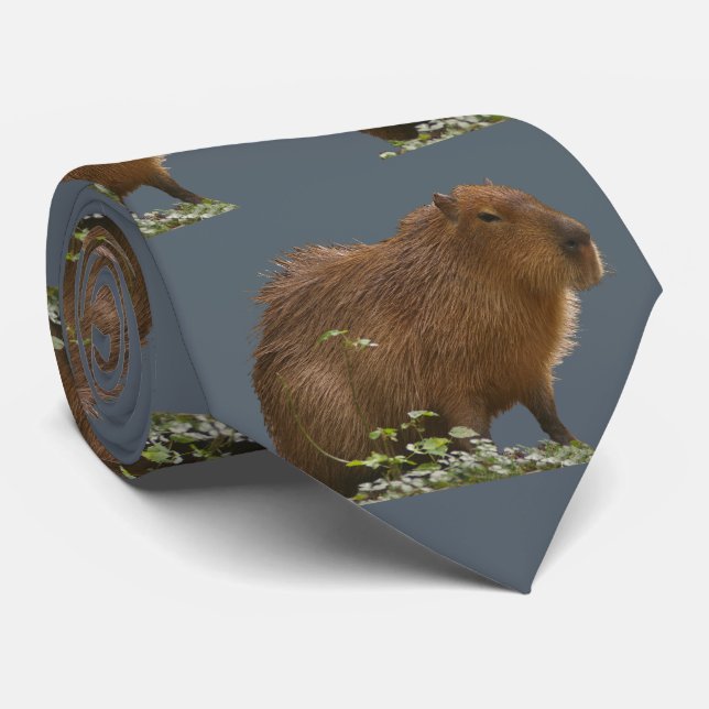 Capybara Krawatte (Gerollt)