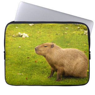 Capybara Laptopschutzhülle