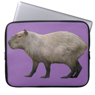 Capybara Laptopschutzhülle