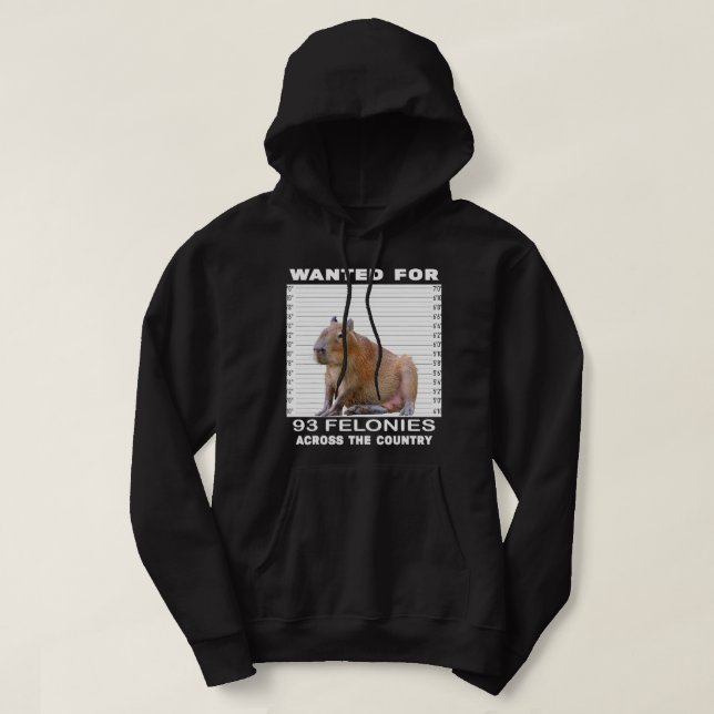 Capybara Lover Wollte für 93 Felonies über die ges Hoodie (Design vorne)