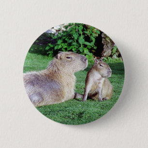 Capybara-Mama und Sohn-Knopf Button