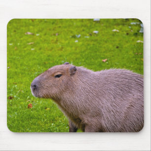 Capybara-Mauspad Mousepad
