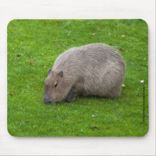 Capybara-Mauspad Mousepad