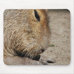 Capybara-Mausunterlage Mousepad