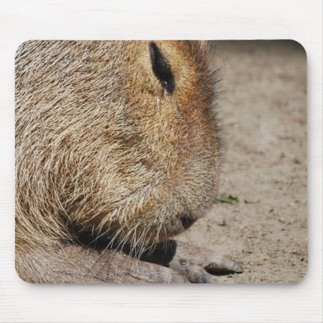 Capybara-Mausunterlage Mousepad (Vorne)