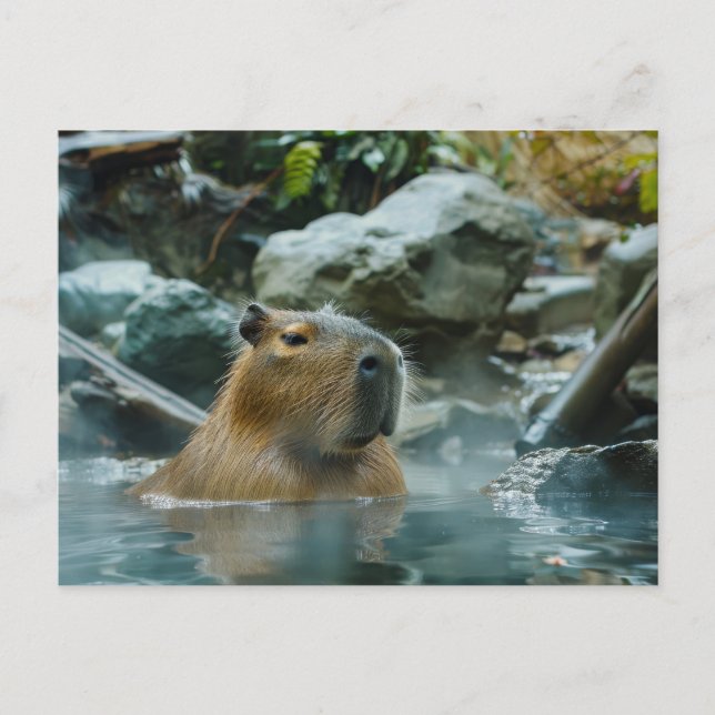 Capybara mit heißem Frühling Postkarte (Vorderseite)