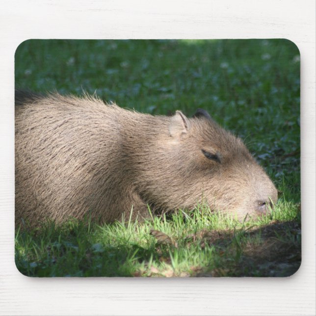 Capybara Mousepad (Vorne)