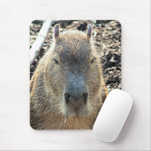 CAPYBARA MOUSEPAD