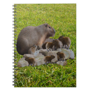 Capybara Mummy mit Babys, Notebook Notizblock
