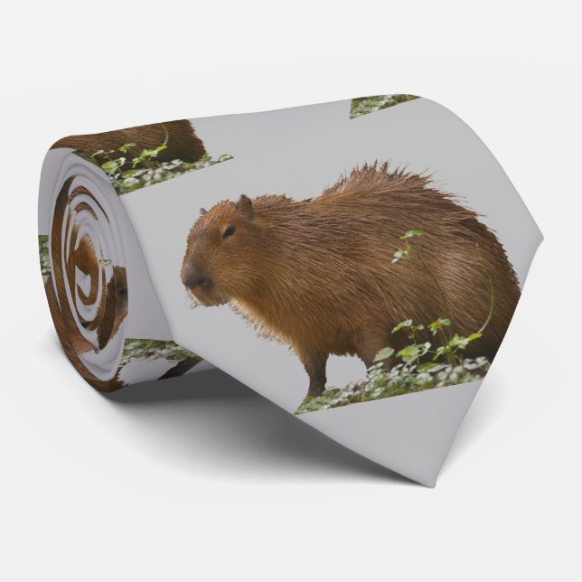 Capybara Neck Tie Krawatte (Gerollt)