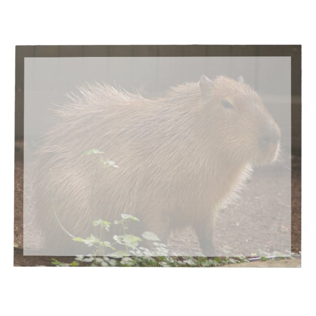 Capybara Notizblock (Vorderseite)