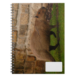 Capybara Notizblock