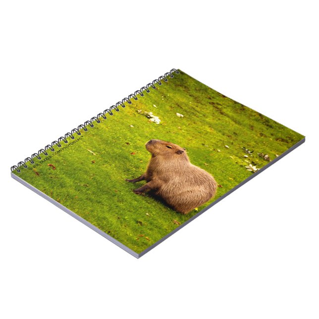 Capybara Notizblock (Linke Seite)