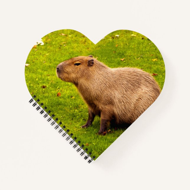 Capybara Notizbuch (Vorderseite)