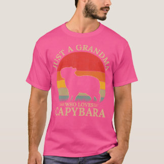 Capybara Nur eine Oma, die Capybara Liebe T-Shirt