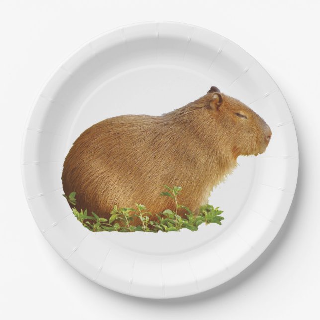 capybara paper plate pappteller (Vorderseite)